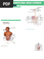 Resumo - TGI (Boca e Esôfago)