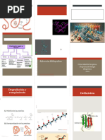 Folleto. Estructura Secundaria de Las Proteinas