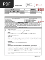 Acta de Apertura Pta Fi 3.0 Con Directivo Docente