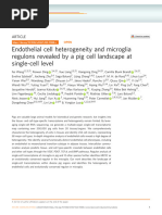 Endothelial Cell Heterogeneity and Microglia Regulons Revealed by A Pig Cell Landscape at Single-Cell Level