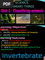 P3 - SC - Unit 3 - Classifying Animals - Insects - L6 - 2022 - I