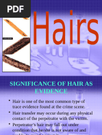 6 - Hair