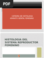 Histología - Aparato Genital Femenino Parte 1