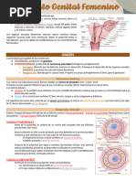 CAP 23 - Sistema Genital Femenino