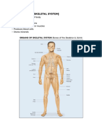 MedTerm Musculoskeletal