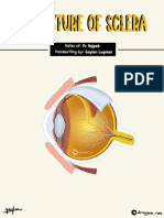 2 - Structure of Sclera