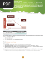 Opcat.03.2323.resumenopeenf.t6 3