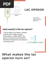 Lac Operon 1