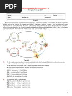 Ficha Formativa - 2