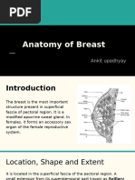 Anatomy of Breast