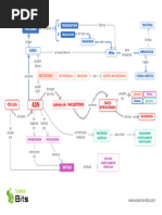 Mapa Conceptual