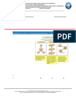 GUÌA Rep Hongos RECUPERACIÓN 2 P PDF