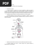 Sistema Endócrino