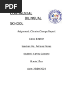 Informe Ingles