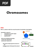 Chromosomes