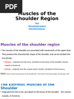 Muscles of The Shoulder Region P