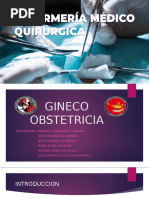 Gineco Obstetricia #1