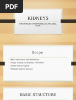 Kidneys, L300