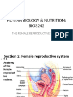 On Topic 8 Female Reproductive System