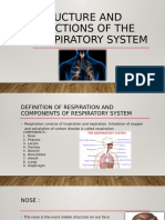 Structure and Functions of The Respiratory System