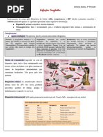 Infecções Congênitas - Documentos Google