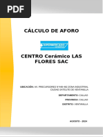 2.calculo de Aforo - Cassinelli