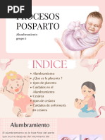 Presentación Mitos Del Embarazo y Posparto Sencilla Crema Rosa Crema