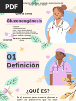 Gluconeogénesis Equipo 6