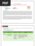 Proyecto Investigamos Sobre Las Abejas