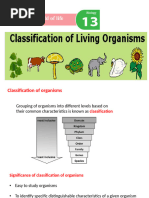 Classification 10