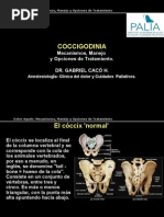 Dolor Coccigodinia