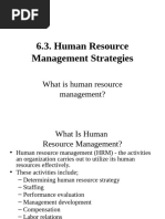 6.3 HRM Strategies