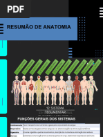 Anatomia Dos Sistemas RESUMÃO (1) - 090231.pptx - 20240203 - 224610 - 0000