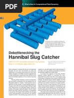 Hannibal Slug Catcher