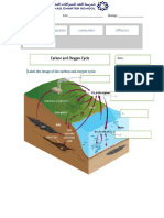 Carbon Cycle - Most