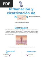 Inflamacion y Cicatrizacion