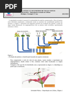 Ficha Repr Sex Nas Plan Flor