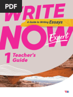 Write Now Expert 1 - TG