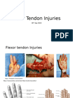 Flexor Tendon Injuries