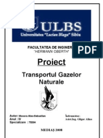 Proiect - Transportul Gazelor Naturale II (Parte Scrisa)