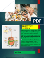 Digestive System