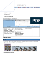 3° Grado - Actividad Del Dia 07 de Junio