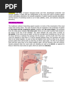 Phonetics and Phonology