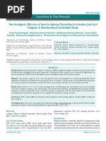 The Analgesic Efficacy of Erector Spinae Plane Block in Ankle and Foot Surgery A Randomized Controlled Study