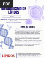 Metabolismo de Lípidos