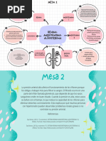 Regulación de La Presión Arterial PDF