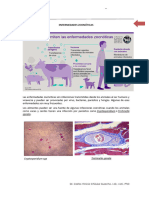 9epidemiología Zonoticas 13072023