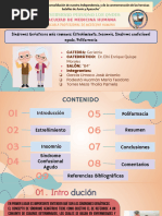 Sindromes Geriatricos Mas Comunes 2