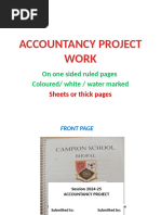 Accountancy Project Work 2024-25