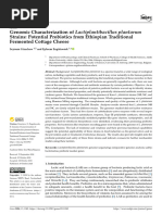 Genomic Characterization of Lactiplantibacillus PL